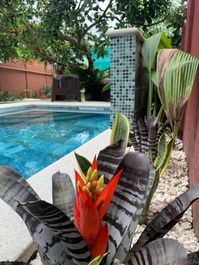 Villa Jade, La Fortuna Downtown Exterior foto